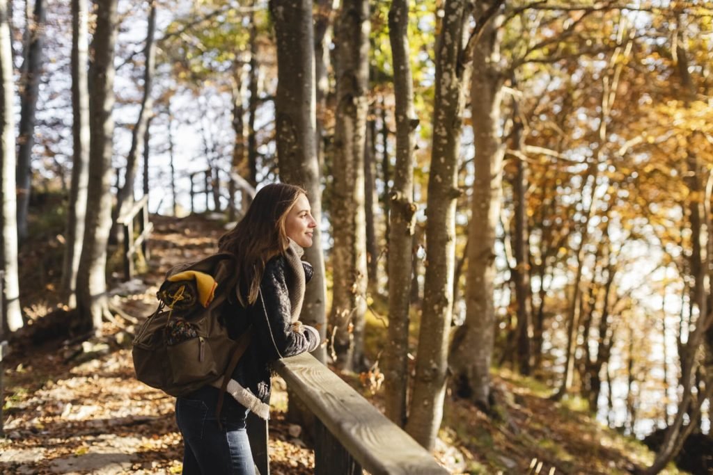 Zykluswissen Herbst