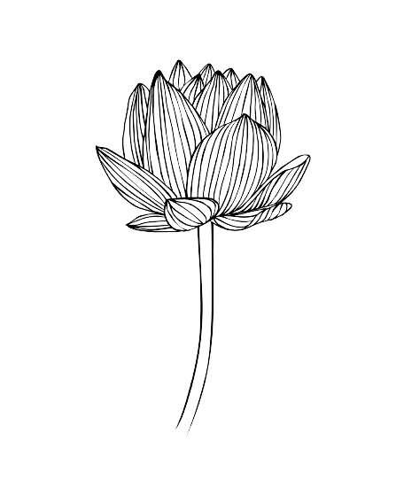 Illustrierte Blume in Schwarz-Weiß