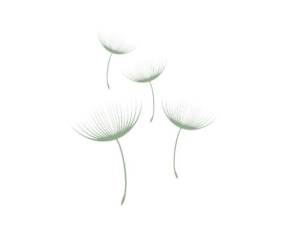 Illustrierte Pusteblumen in Grün