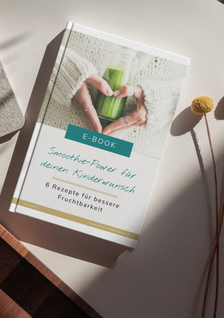 Cover des Smoothie-E-Books für deinen Kinderwunsch