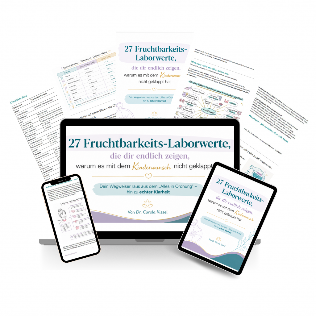 Mockup des Guides zu den 27 Fruchtbarkeits-Laborwerten